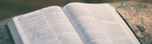 Read more about the article Part Seven: The Bible Happens